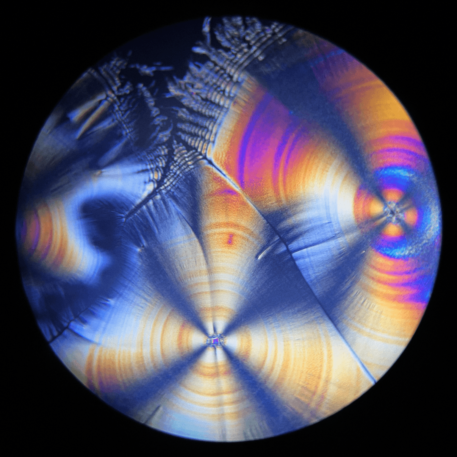 All that we see with the naked eye is composed of that which is invisible to it: an endless realm of building blocks starting in the atomic and organised into elements, in turn comprising ever more complex structures that take on emergent, reactive properties that border on the generative aesthetically. Ascorbic acid, known to us as the essential vitamin c (which our bodies cannot produce) becomes in its microscopic state a generative element that can be interactively coaxed into forming complex, beautiful structures.