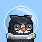 Moonbird #3507